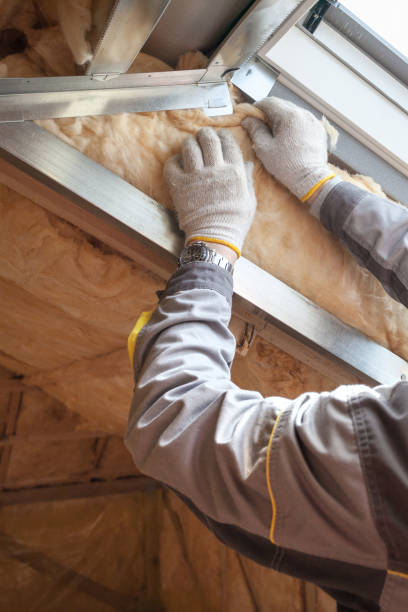 Professional Insulation in San Antonio, TX